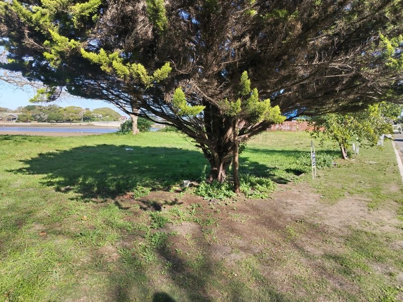 Prime Vacant Land on The Island, Great Brak River - Photo 9