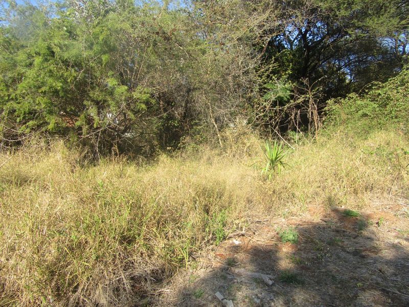 Build the Home You've Always Dreamed Of in Huiwelkruin, Thabazimbi Ext 17 - Photo 4