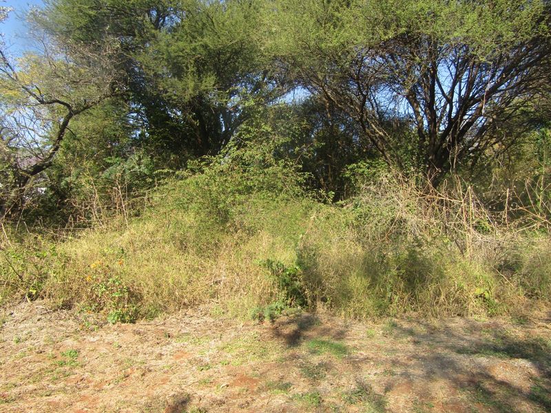 Build the Home You've Always Dreamed Of in Huiwelkruin, Thabazimbi Ext 17 - Photo 2