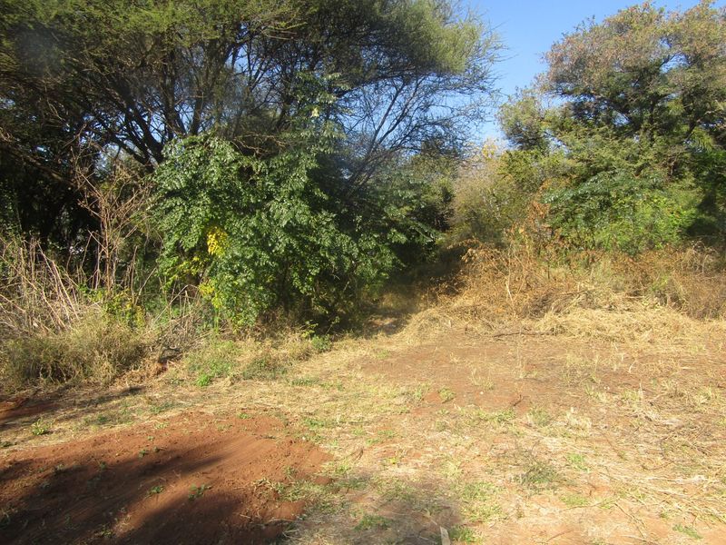 Build the Home You've Always Dreamed Of in Huiwelkruin, Thabazimbi Ext 17 - Photo 6