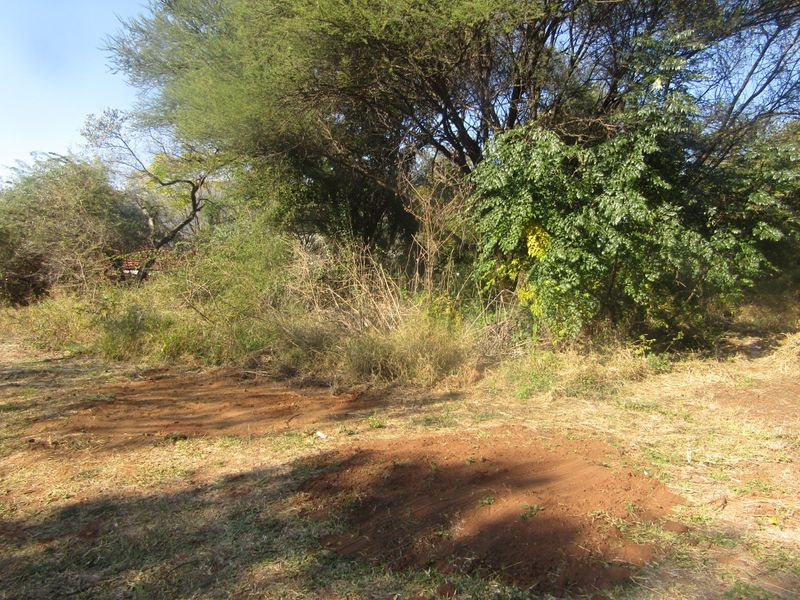 Build the Home You've Always Dreamed Of in Huiwelkruin, Thabazimbi Ext 17 - Photo 5