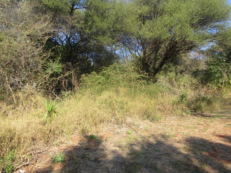 Build the Home You've Always Dreamed Of in Huiwelkruin, Thabazimbi Ext 17 - Photo 3