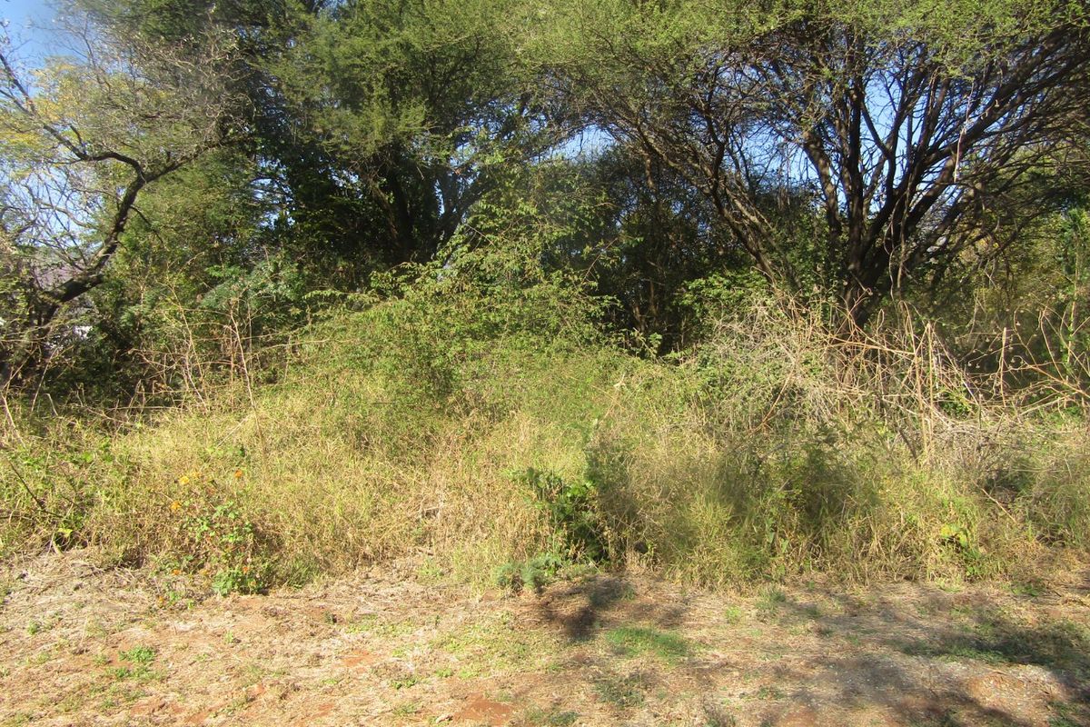 A view of a vacant residential plot featuring dense natural vegetation and mature trees, offering a blank canvas for future development.