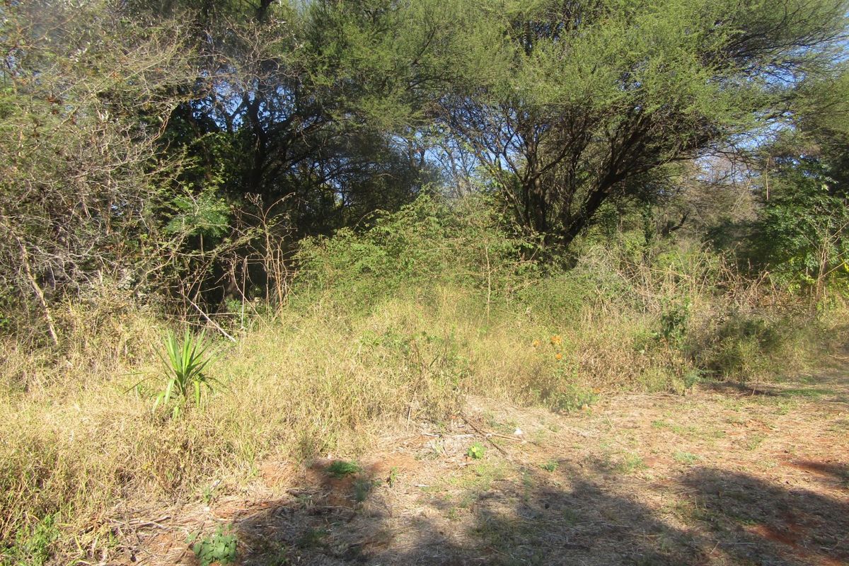 A view of a vacant residential plot featuring dense natural vegetation and mature trees, suitable for development.