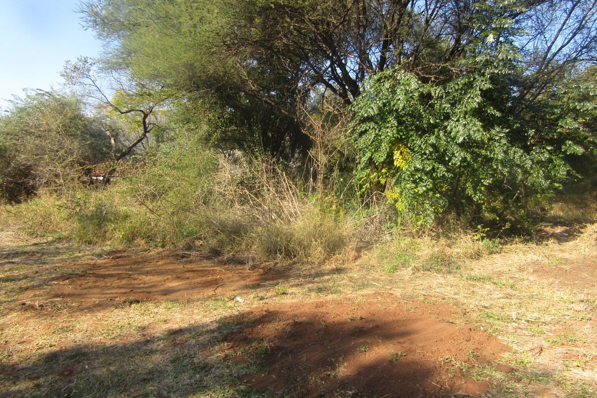 A view of a vacant residential plot featuring mature trees and patches of cleared earth.