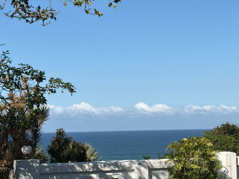 Exceptional Beachside Stand In The Heart Of Southbroom - Photo 3