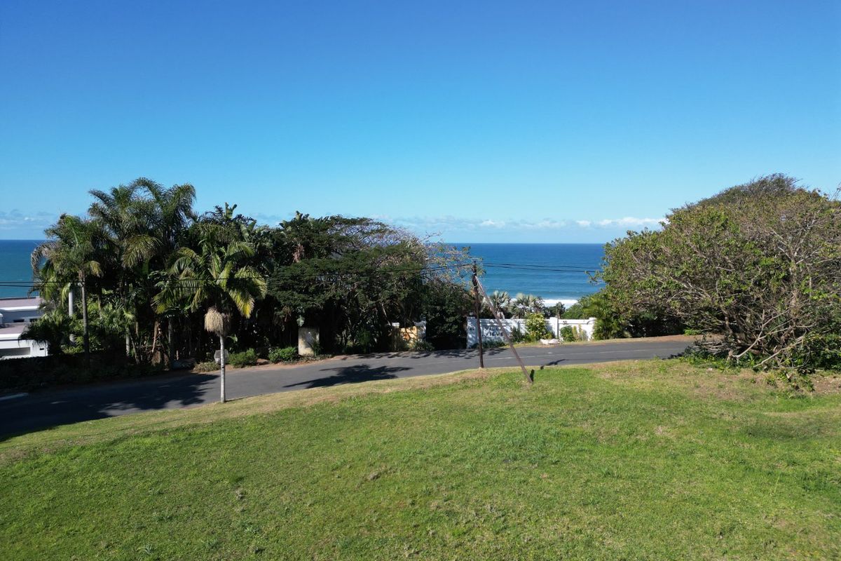 A scenic view of the ocean from the vacant residential land, featuring established trees and a clear horizon line.