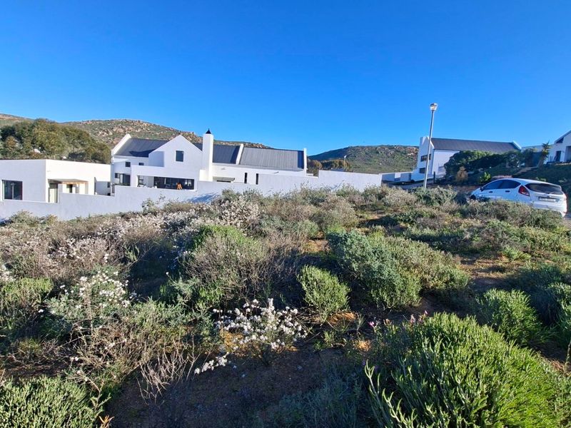 XL 910sqm Vacant land Sandy Point Heights - Photo 10