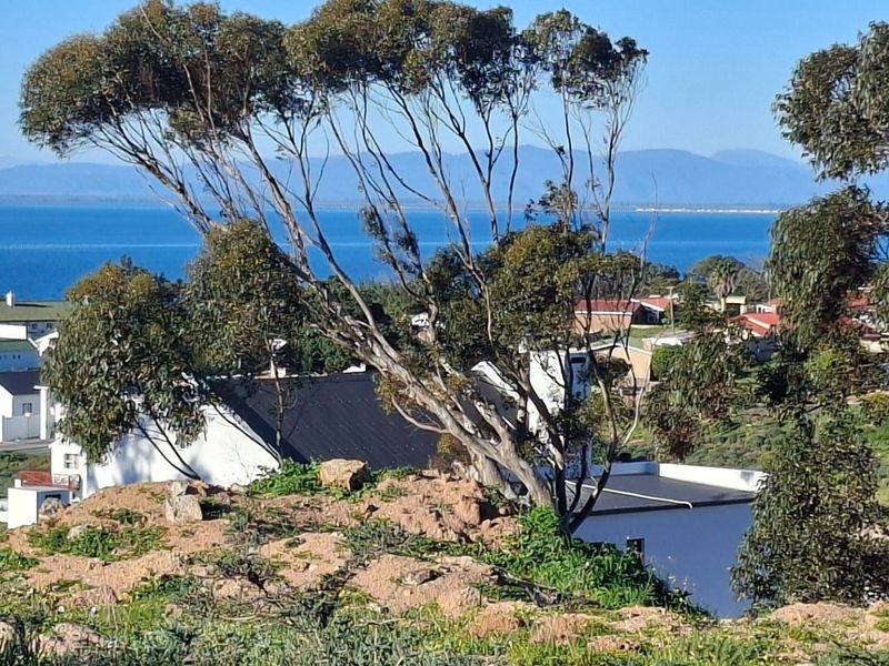 XL 910sqm Vacant land Sandy Point Heights - Photo 7