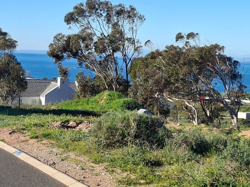 XL 910sqm Vacant land Sandy Point Heights - Photo 6