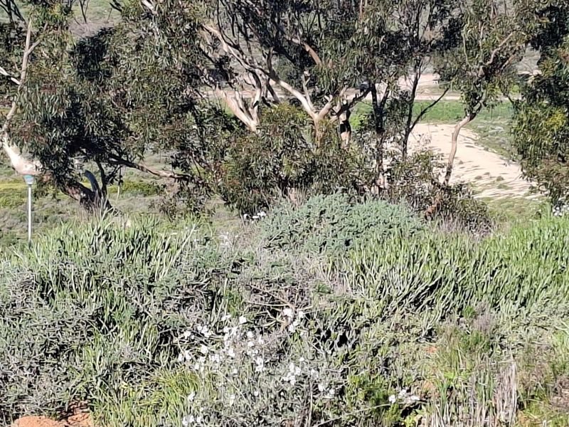 XL 910sqm Vacant land Sandy Point Heights - Photo 3