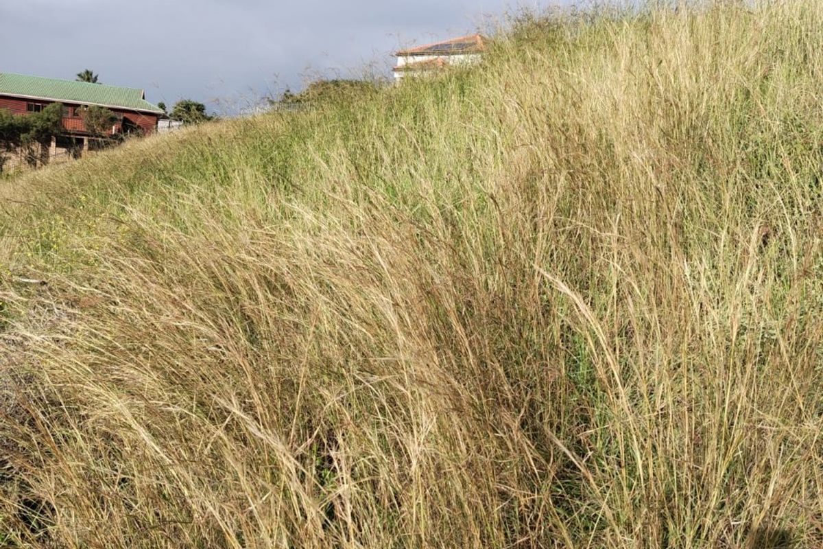 A view of the sloped, grass-covered vacant residential land with neighboring properties visible in the background.