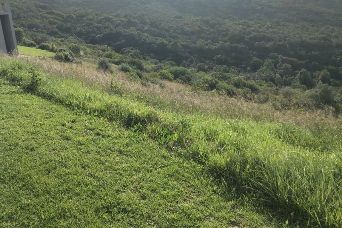 A scenic view of the natural landscape and rolling hills from the residential property.
