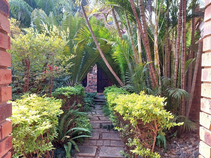 A lush, landscaped garden path featuring brick paving framed by mature palm trees and established shrubbery leading toward the property entrance.