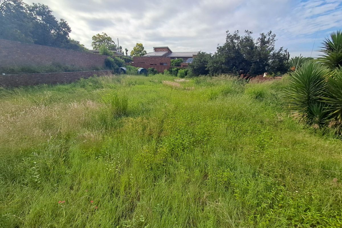 A large, undeveloped residential plot featuring overgrown grass, mature trees, and a brick boundary wall, offering potential for future landscaping or development.