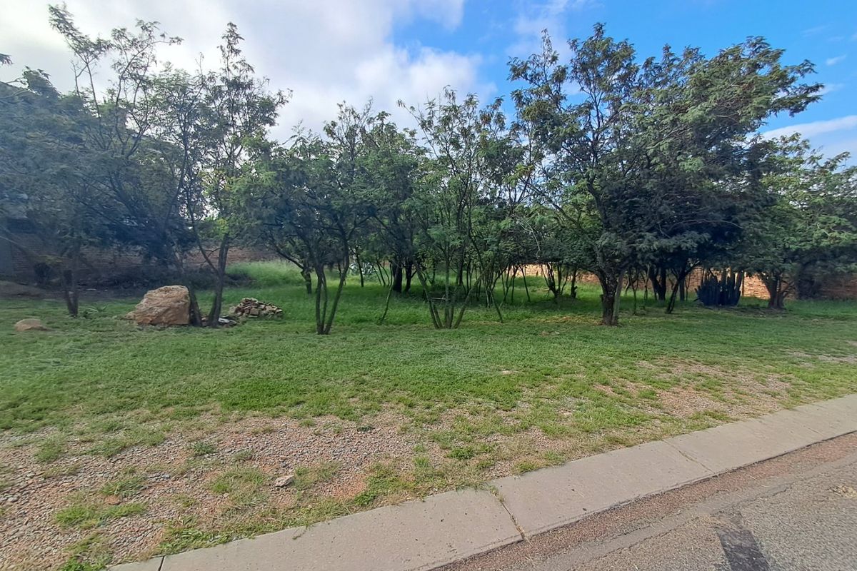 A view of a vacant residential plot featuring established trees and a grass lawn, bordered by a concrete curb and street.