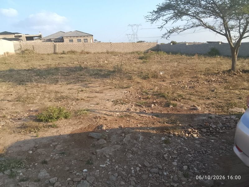 Prime 1200m2 Erf in Mankweng Awaiting Vision - Photo 3
