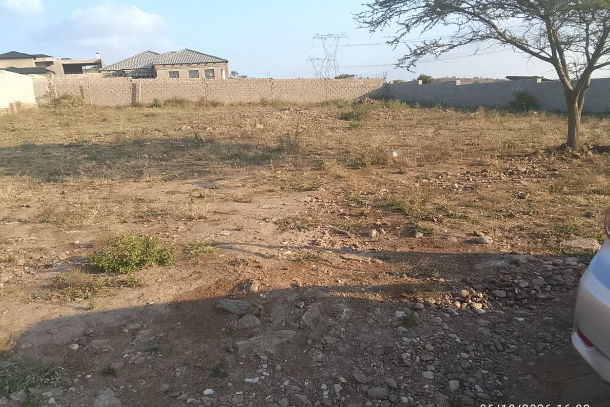 A vacant residential plot featuring a perimeter wall and a mature tree, offering a blank canvas for future development.