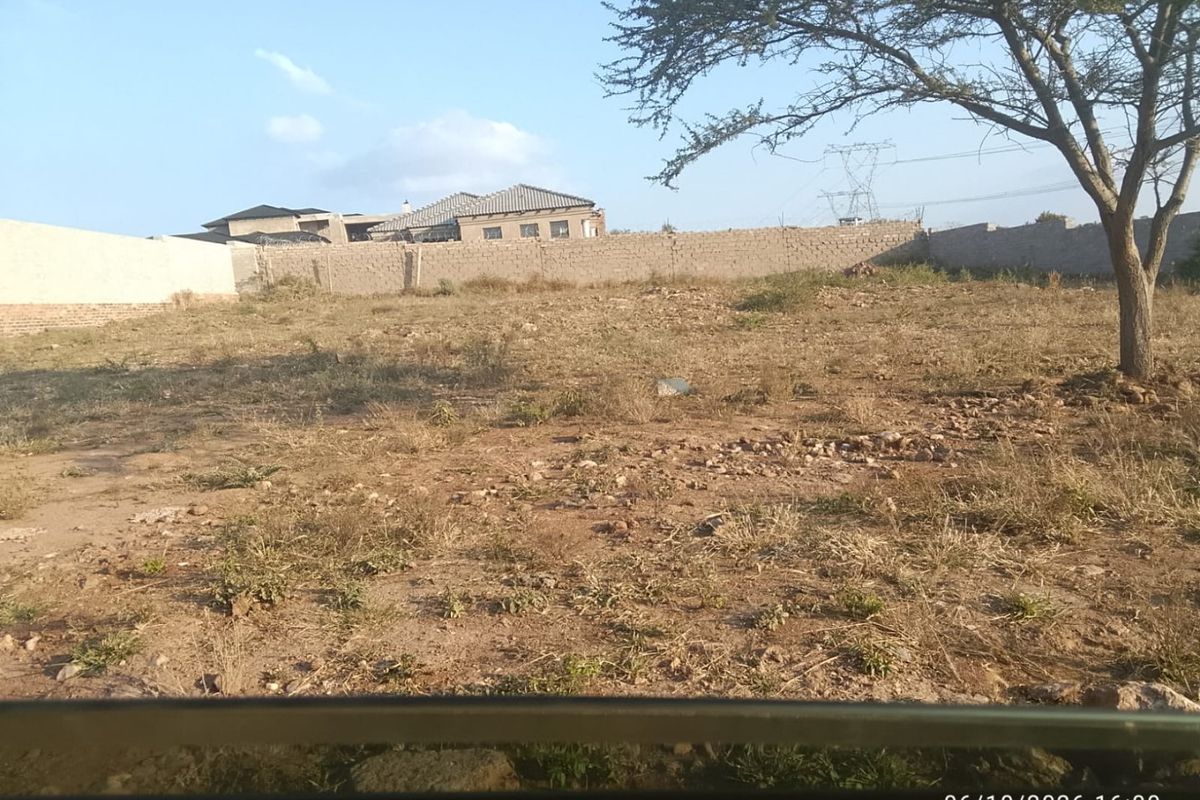 A vacant residential plot featuring a perimeter boundary wall and an established tree, offering a blank canvas for future development.
