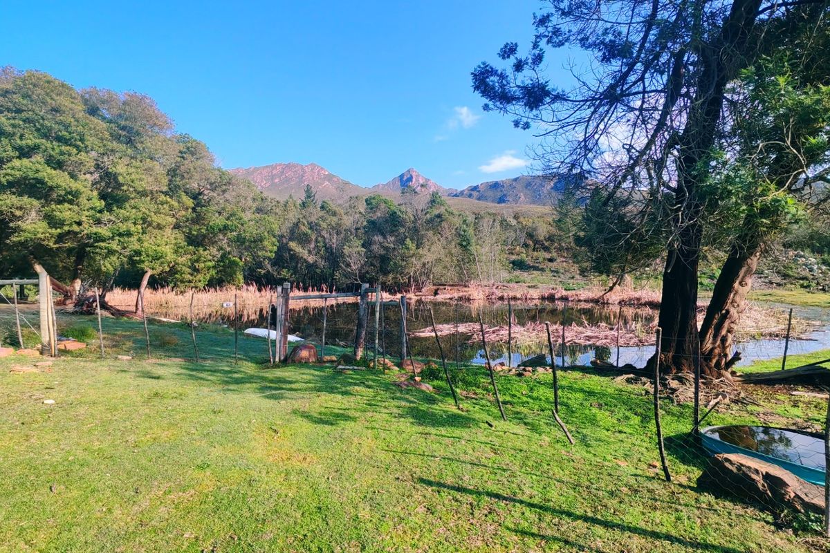 Off-Grid Mountain Farm Lifestyle With Multiple Income Streams - Photo 5