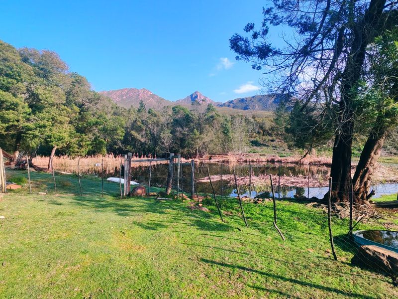 Off-Grid Mountain Farm Lifestyle With Multiple Income Streams - Photo 5