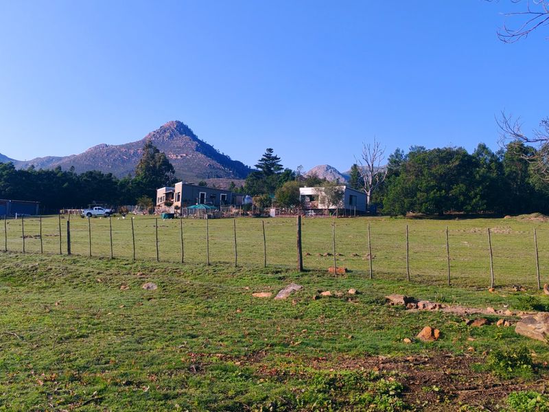 Off-Grid Mountain Farm Lifestyle With Multiple Income Streams - Photo 10