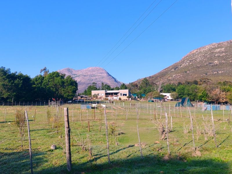 Off-Grid Mountain Farm Lifestyle With Multiple Income Streams - Photo 9