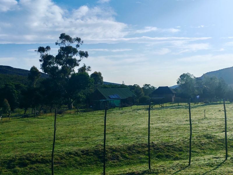 Off-Grid Mountain Farm Lifestyle With Multiple Income Streams - Photo 8