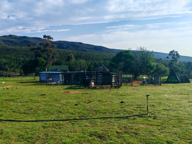 Off-Grid Mountain Farm Lifestyle With Multiple Income Streams - Photo 7