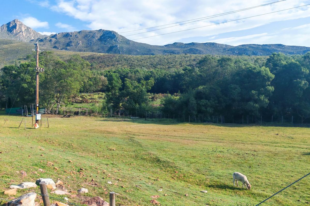 Off-Grid Mountain Farm Lifestyle With Multiple Income Streams - Photo 3