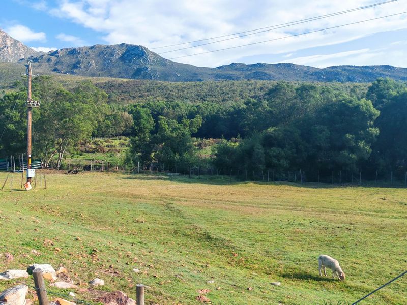 Off-Grid Mountain Farm Lifestyle With Multiple Income Streams - Photo 3