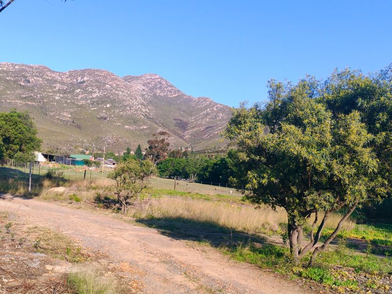 Off-Grid Mountain Farm Lifestyle With Multiple Income Streams - Photo 2