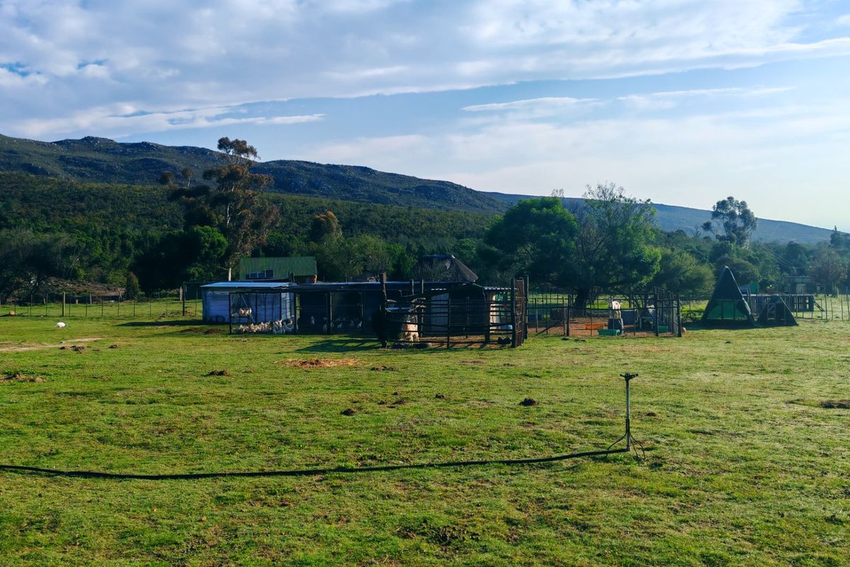 A wide view of the farm property featuring open grazing land, livestock enclosures, and various outbuildings set against a mountain backdrop.