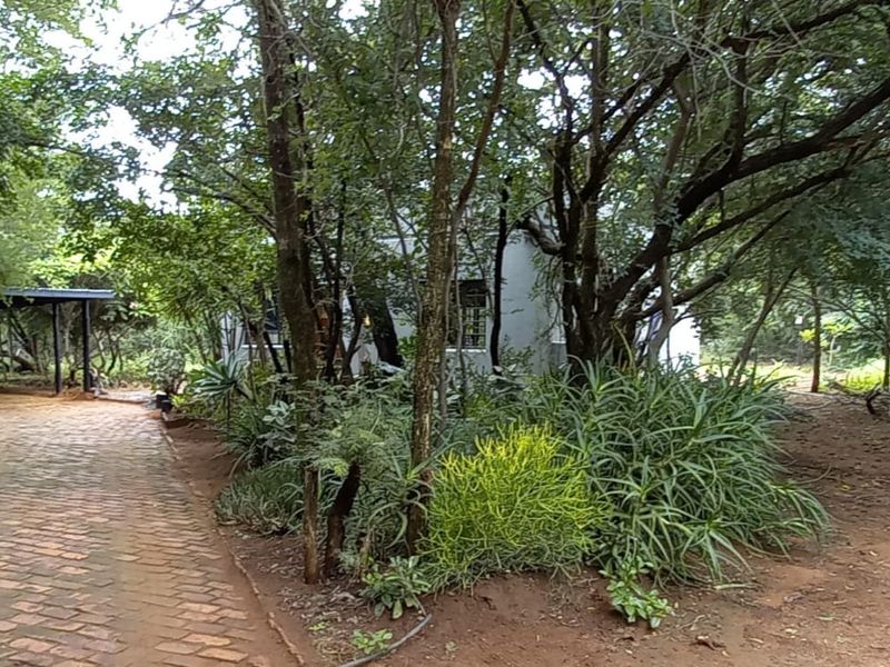 Charming 2-Bedroom Home to Rent in a Peaceful Bush Setting - Photo 9