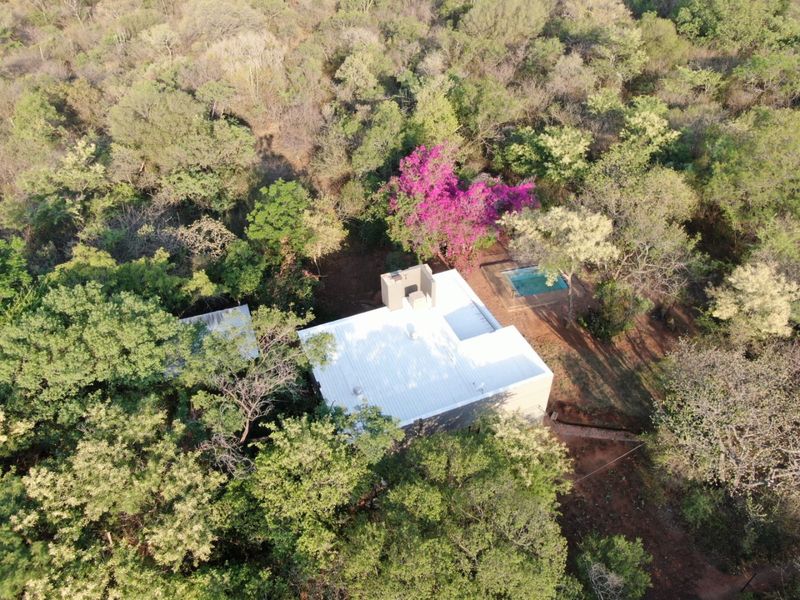 Charming 2-Bedroom Home to Rent in a Peaceful Bush Setting - Photo 6