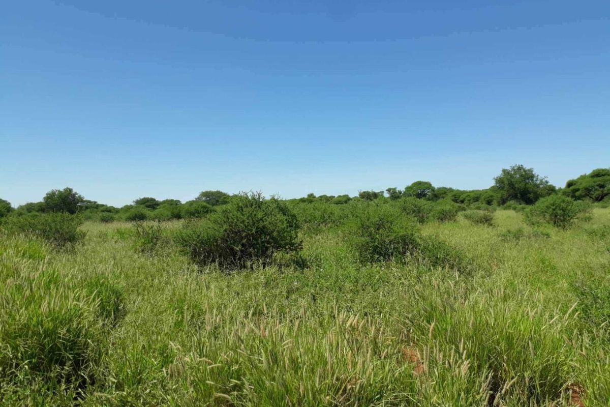 A view of a vacant residential plot featuring natural grassland and native shrubbery under a clear blue sky.