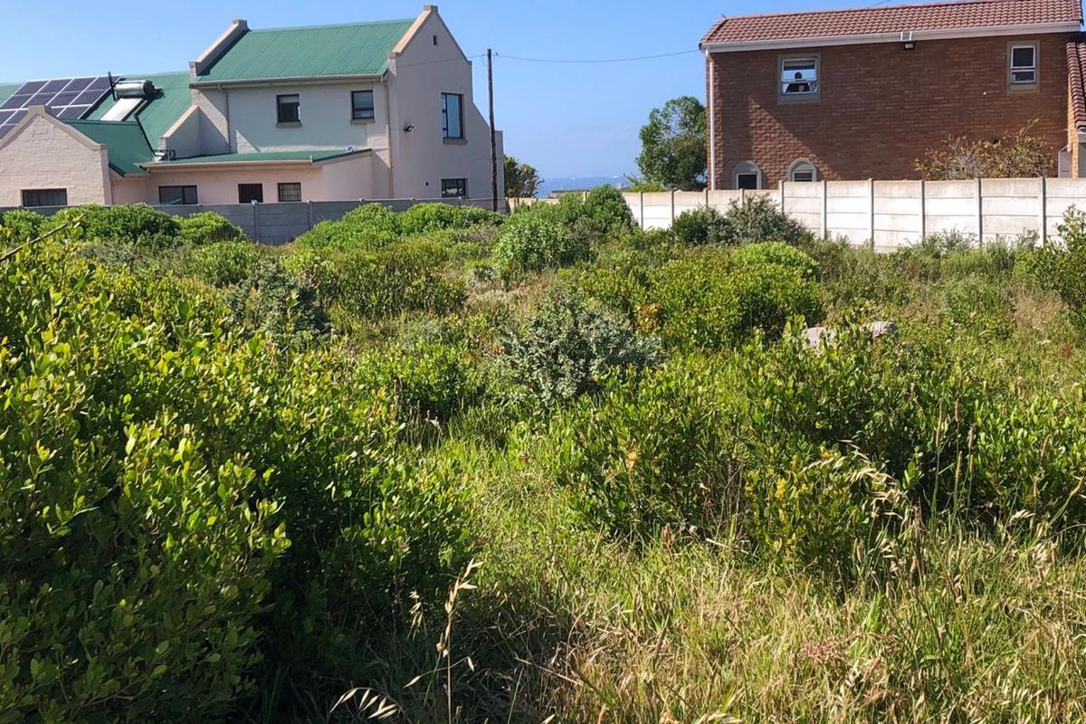 A vacant residential plot featuring established indigenous vegetation and enclosed by precast concrete boundary walls, situated in a developed neighbourhood.