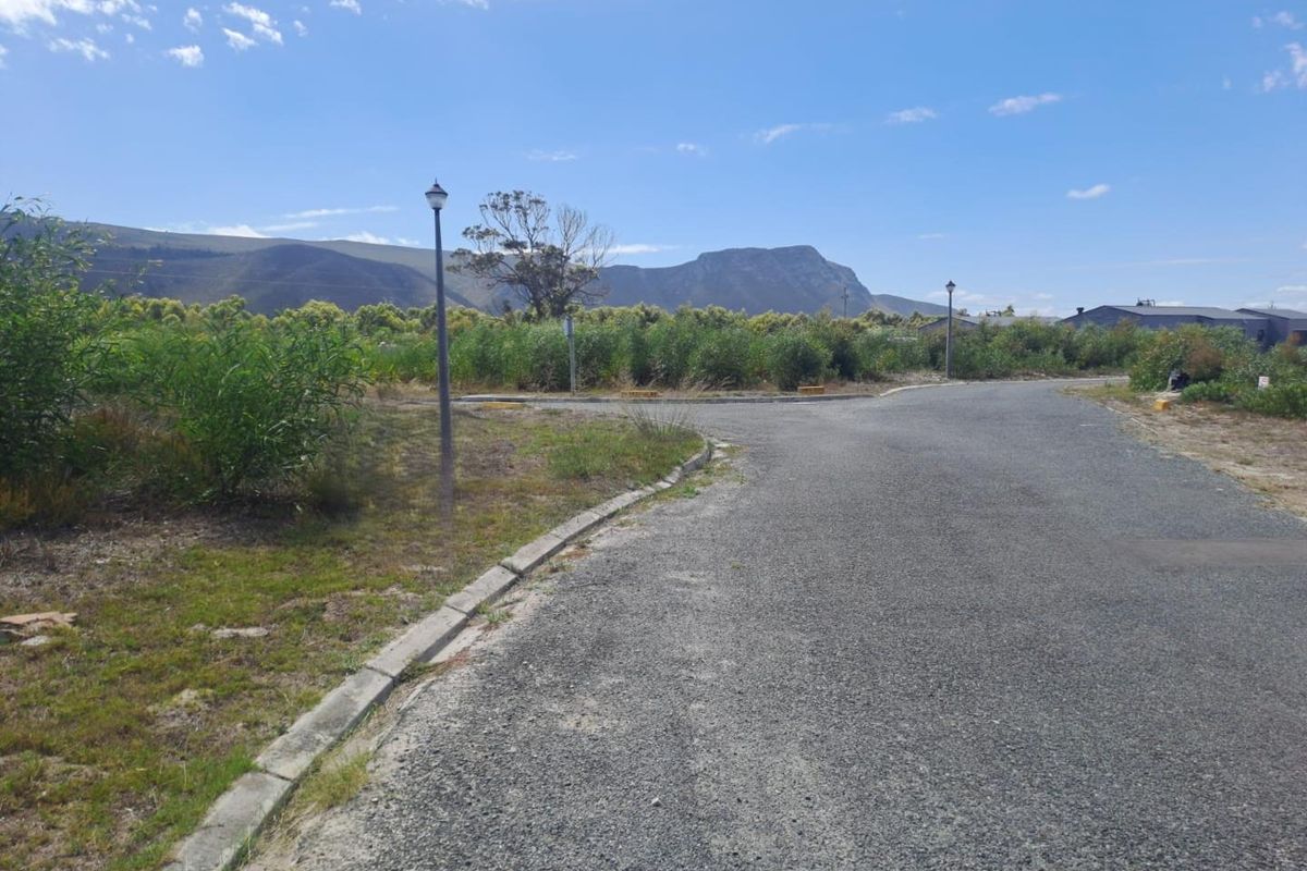 A view of the paved street and curbing within the residential estate, featuring mountain views in the background.