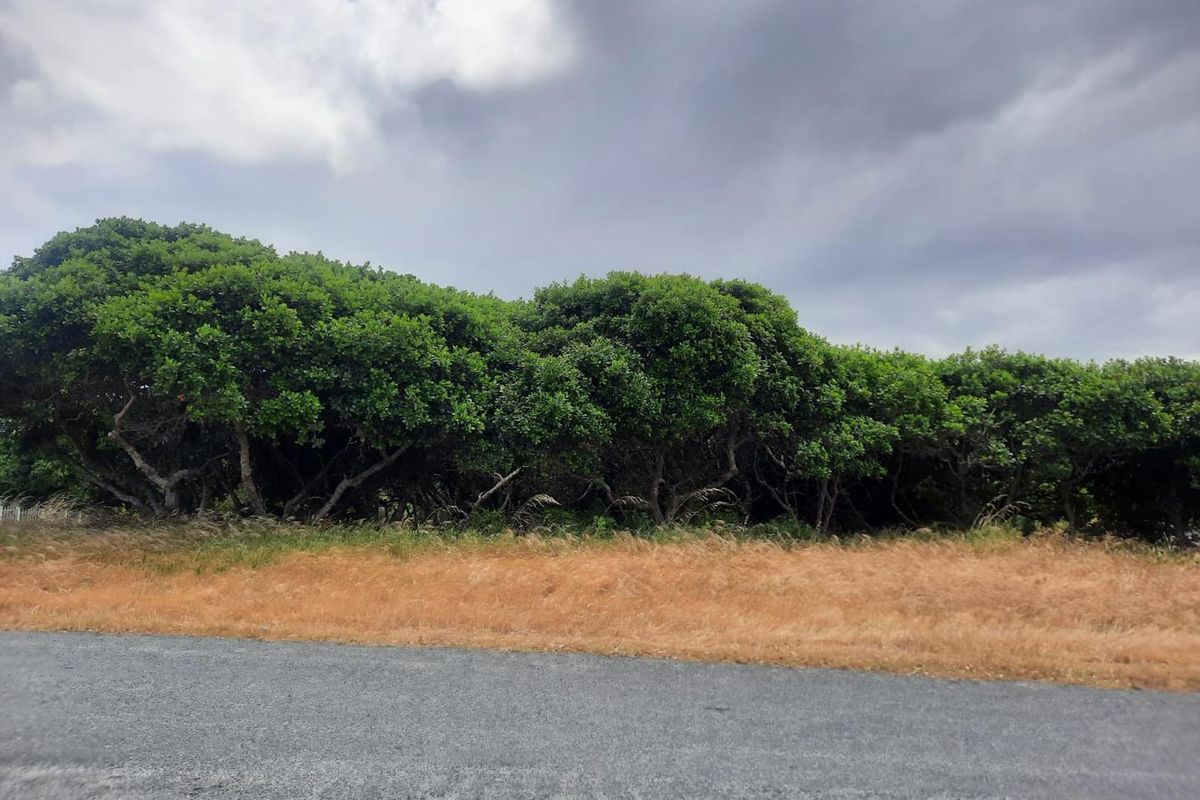 Large Corner Stand for sale in Kleinbaai. - Photo 3