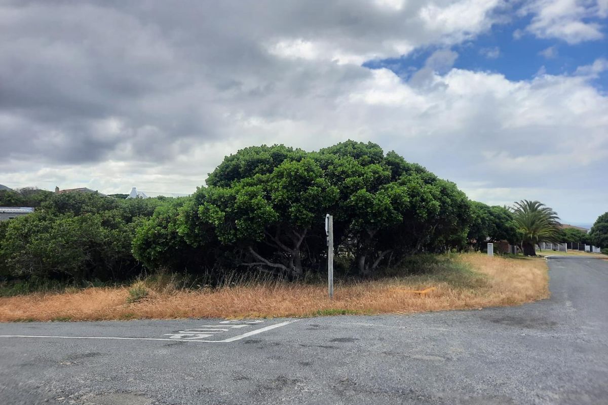A street-level view of a vacant residential plot featuring established trees and shrubs, situated at a corner intersection with paved road access.