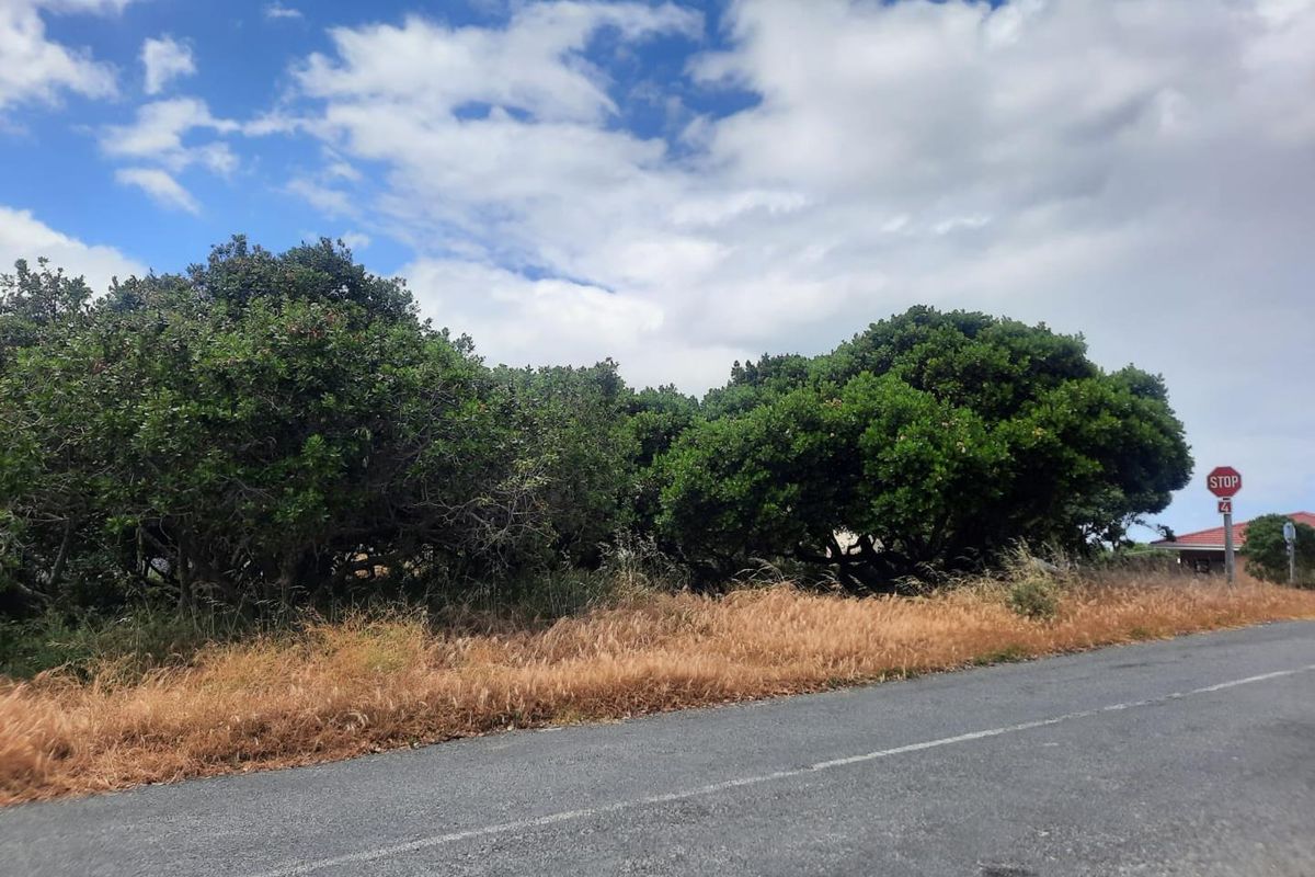 A street-level view of a vacant residential plot featuring mature trees and dry grass bordering an asphalt road.