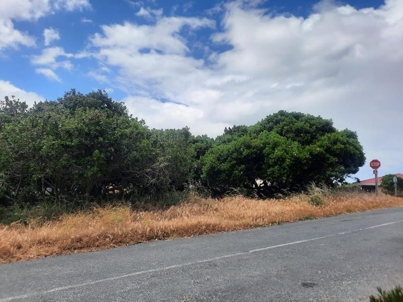 Large Corner Stand for sale in Kleinbaai. - Photo 4