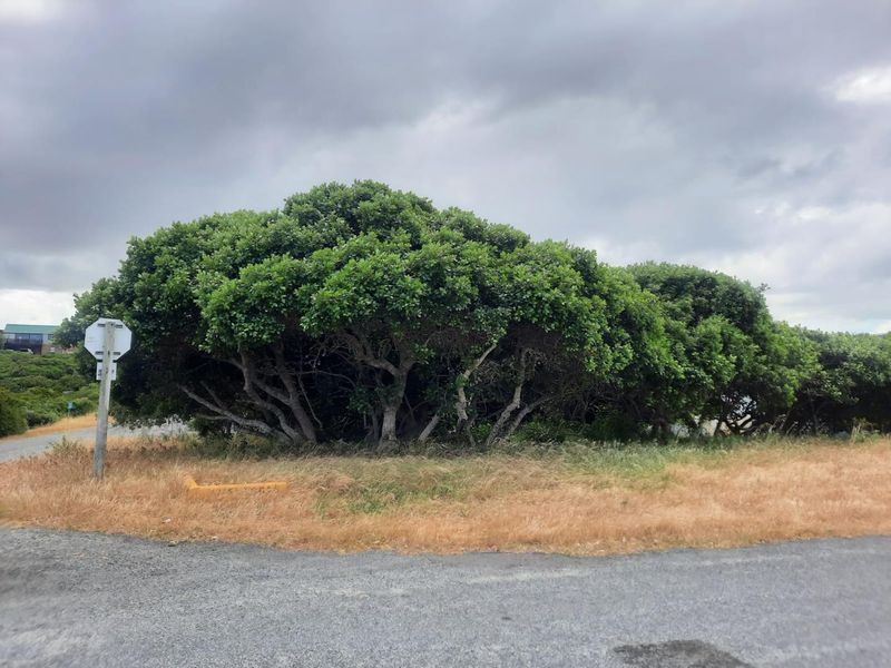 Large Corner Stand for sale in Kleinbaai. - Photo 1