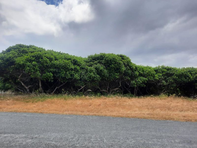 Large Corner Stand for sale in Kleinbaai. - Photo 3