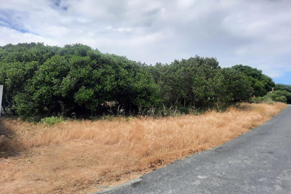 A view of a vacant residential plot featuring native vegetation and direct access to an asphalt road.