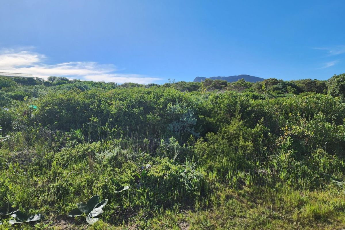 Three Neighbouring Plots in Kleinbaai - Photo 3