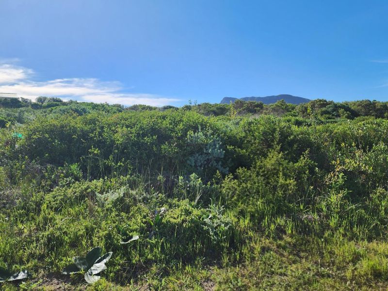 Three Neighbouring Plots in Kleinbaai - Photo 3