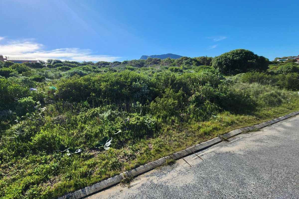 Three Neighbouring Plots in Kleinbaai - Photo 4