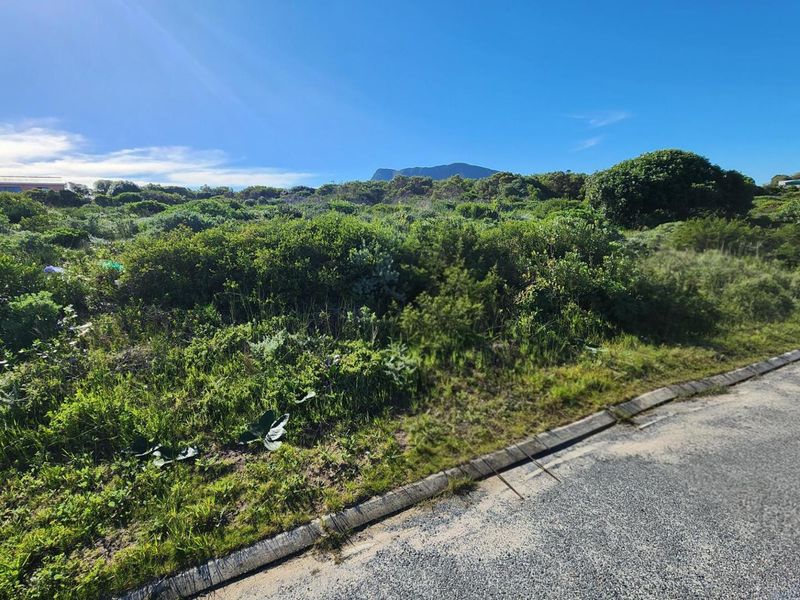 Three Neighbouring Plots in Kleinbaai - Photo 4