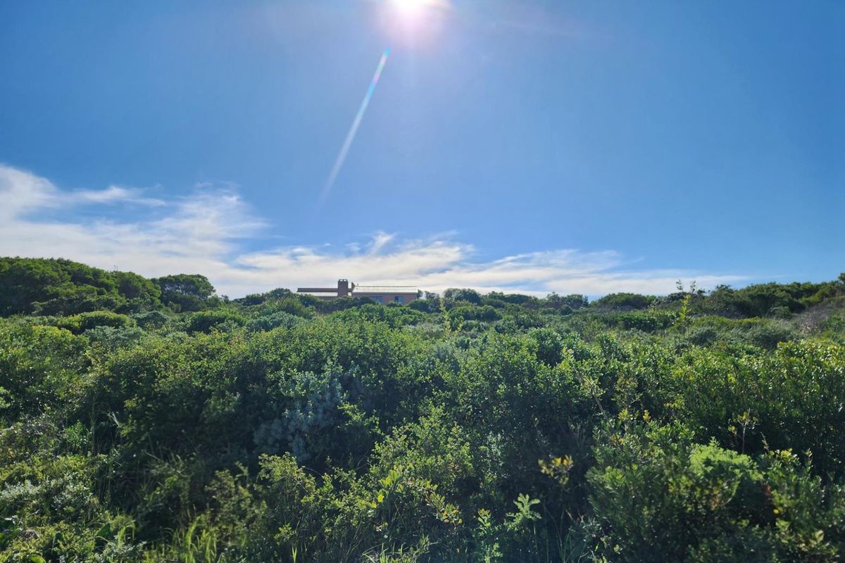 Three Neighbouring Plots in Kleinbaai - Photo 5